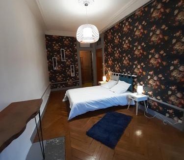 Tulle Apartamento | Tulle Centre : grand et bel appartement