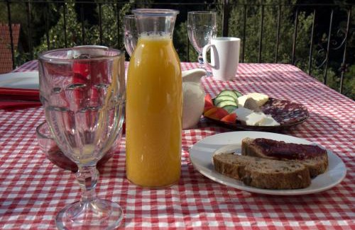 Miklavz pri Taboru Casa | Turistična kmetija Weiss