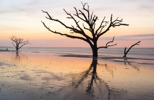 Folly Beach Casa | Turn of River Condo