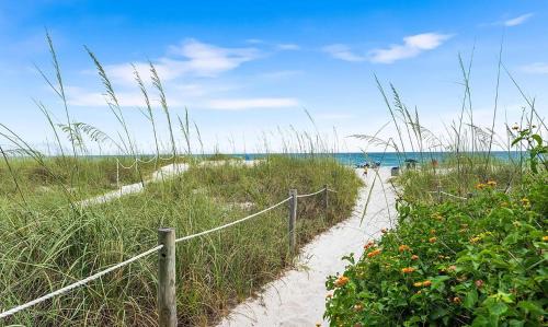 Sunnyside Casa | Turquoise Tail