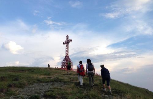 Poggio di Loro Apartamento | Tuscany, Loro Ciuffenna Mountain Bike&walking
