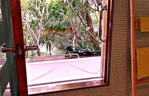 Broadbeach Waters Casa | TUSI TALA - BALI EN LA COSTA DEL ORO