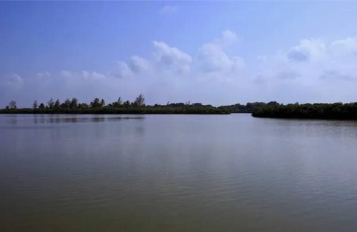 Tuxpan Casa | Tuxpan Beach - Casa Xanat - Oceanfront with Private Pool