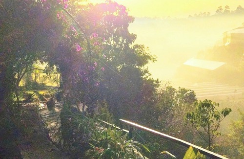 Da Lat Casa | Tuyet Hoa Hon Bo Bungalow