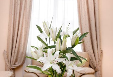 Central Administrative Okrug Apartamento | Tverskaya Apartment