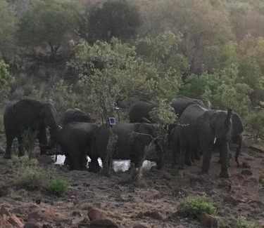 Bela-Bela Casa | Twenty Four Mabalingwe Nature Reserve