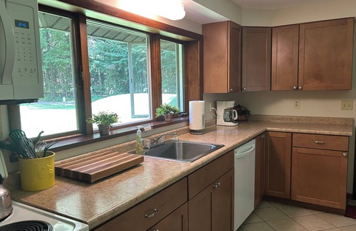 Honor Cabina | Twin Birch Resort - The Kodiak Cabin: Lake Access with Dock, Rowboat, and Kayak!