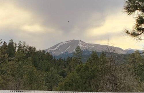 Ruidoso Casa | Twin Pines Casita - Big Yard, View, Porch, Hot Tub, & Charm