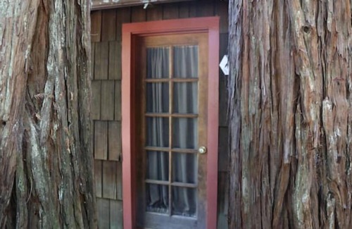 Garberville Cabina | "Twin Trees" Cabin River Access In Redwoods WiFi