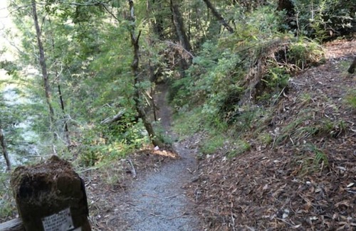 Garberville Cabina | "Twin Trees" Cabin River Access In Redwoods WiFi