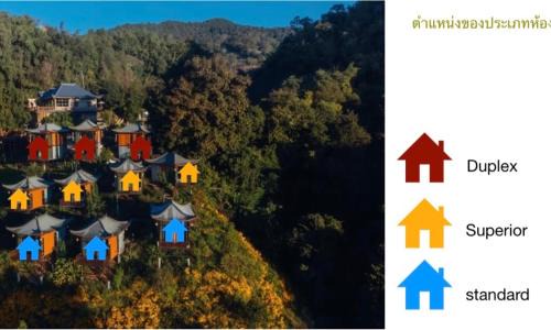 Mae Fa Luang Complejo | Twins Farm