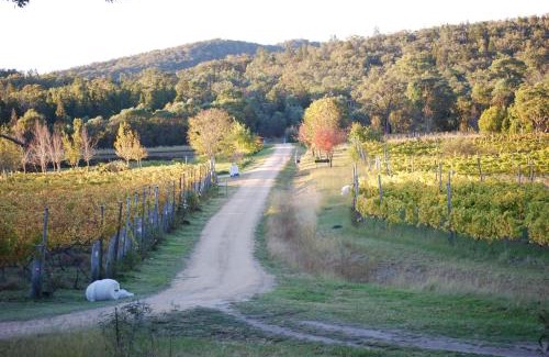 Ballandean Casa | Twisted Gum Vineyard Cottage