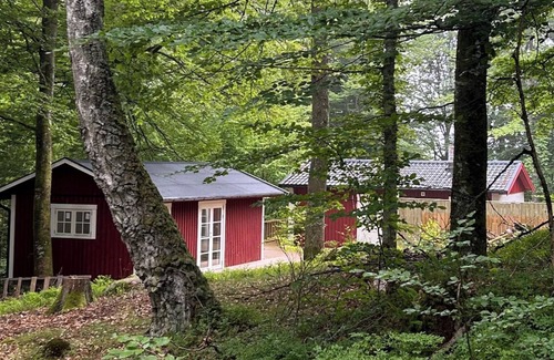 Hastveda Casa | Two beautiful smaller houses with boat in a natural setting on Lursjön