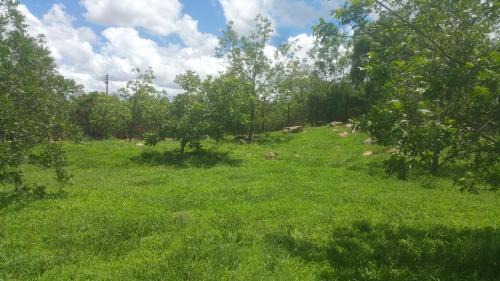 Bulawayo Casa | Two Bed Two Bath Cottage