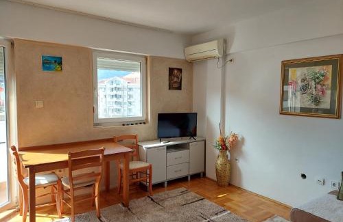 Rozino Apartamento | Two-bedroom apartment with parking