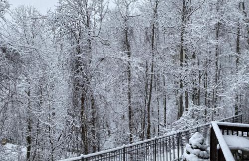 Chalet Village Apartamento | Two bedroom mountain condo, 2 minutes from ski resort, pool and clubhouse onsite !