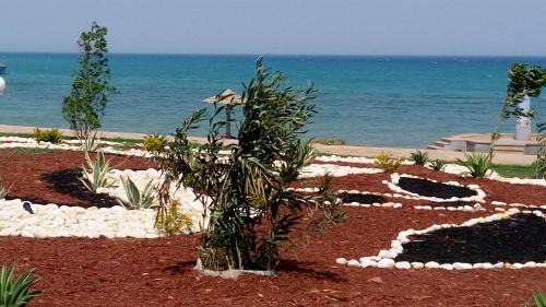 Ras Sudar Chalet De Esquí | Two-Bedroom with Sea View Roof Top Chalet - Orora Village