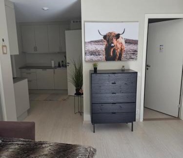 Rasta Apartamento | Two bedrooms Luxury apartment with free parking