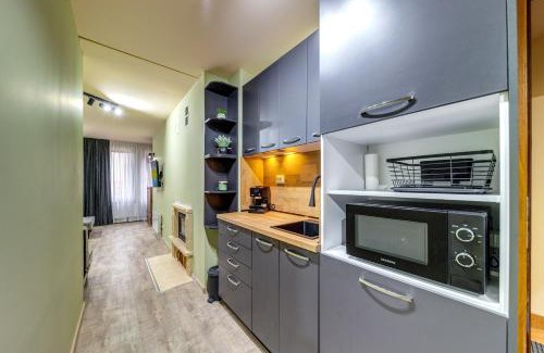 Pamporovo Apartamento | Two Cozy Mint Studios in Grand Resort Pamporovo bt Flat Manager