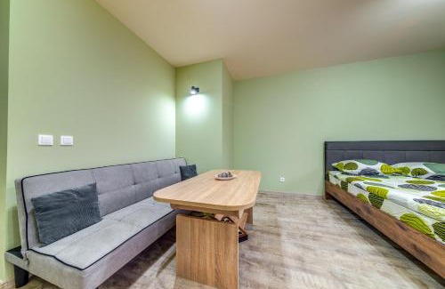Pamporovo Apartamento | Two Cozy Mint Studios in Grand Resort Pamporovo bt Flat Manager