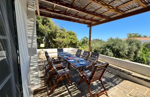 Spetses Casa | Two Olive Trees