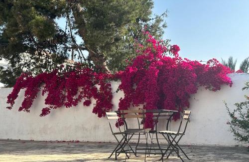 Spetses Casa | Two Olive Trees