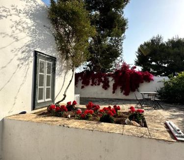 Spetses Casa | Two Olive Trees