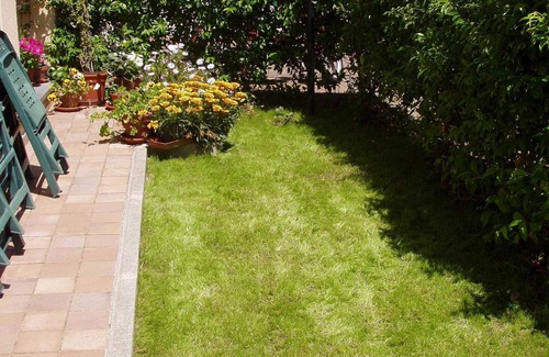 Pisa Casa | Two-room apartment 500 m from the airport