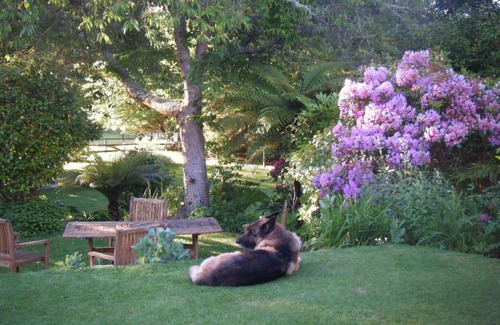 Kinloch Cama Y Desayuno | TWYNHAM at Kinloch