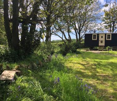 St Brides Otro | Ty Bach Glas