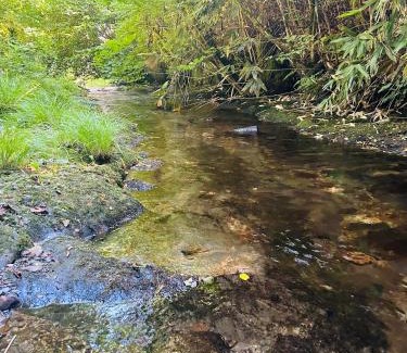 Brechfa Casa | Ty Mawr Country Hotel & Restaurant