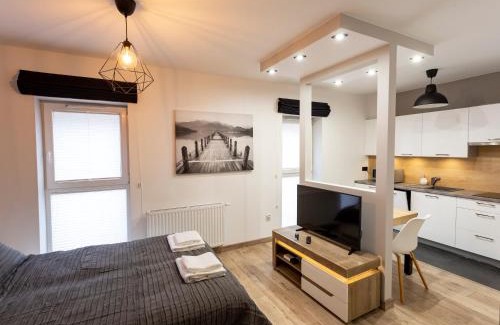Szczawno-Zdroj Apartamento | Tymon Apartament przy deptaku