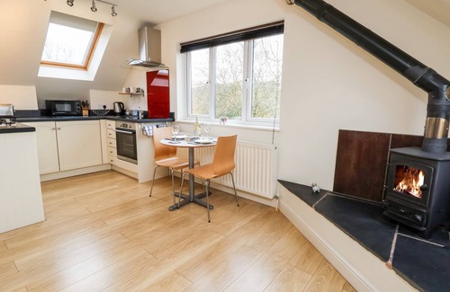 Flintshire Cabaña | Tyn-y-mynydd Bach