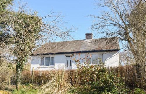 Bontnewydd Casa | Tynlon Villa
