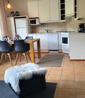 Tahkovuori Apartamento | Tyylikäs loma-asunto Alppitalossa