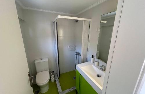 Karystos Apartamento | Tzaferi Olive Apartments