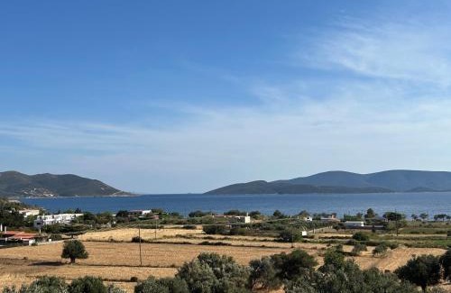 Karystos Apartamento | Tzaferi Olive Apartments