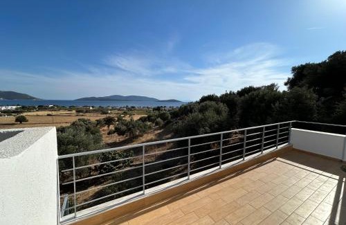 Karystos Apartamento | Tzaferi Olive Apartments