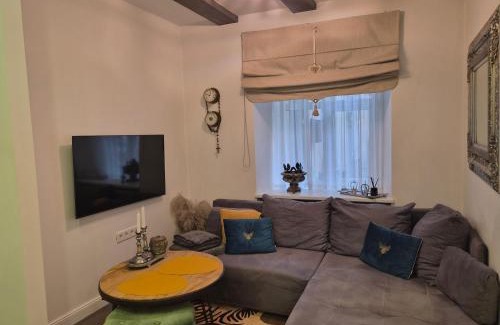 Uzupis Apartamento | Užupio Sparnai