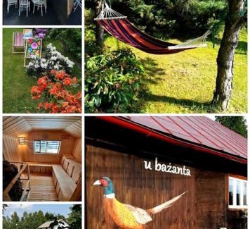 Uherce Mineralne Cabina | u bażanta