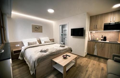 Dolni Morava Apartamento | U Králíka, přízemní bezbarierové apartmány A,B,C,D - 50 metrů od vleku - přejdete v lyžácích, pod bobovou dráhou, parkování zdarma, lyžárna s vysoušeči bot,