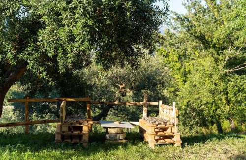 Ogliastro Cilento Apartamento | U Saccataro Casa Vacanze
