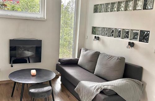 Nove Mesto pod Smrkem Apartamento | U Singlu