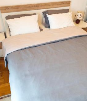 Dakovo Apartamento | U Srcu Šokadije