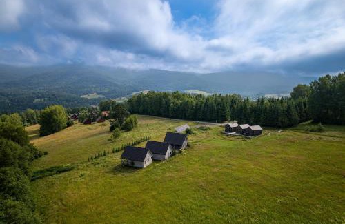 Wetlina Chalet De Esquí | U Szoguna