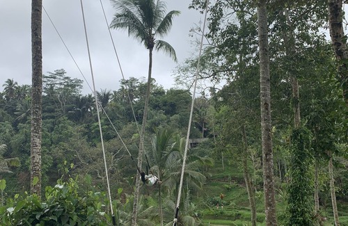 Bangli Casa | ubud tour and waterfall