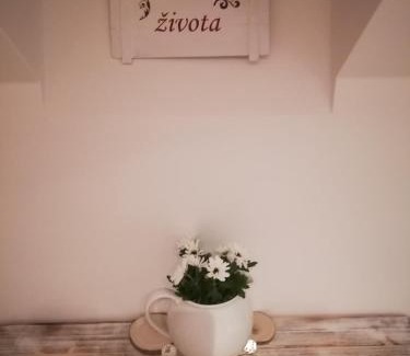 Jindrichuv Hradec Apartamento | Ubytování Otín