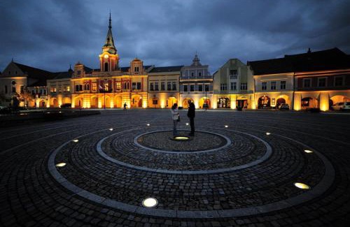 Melnik Apartamento | Ubytování U Vinice