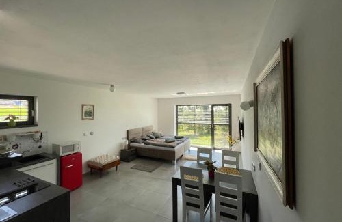 Melnik Apartamento | Ubytování U Vinice