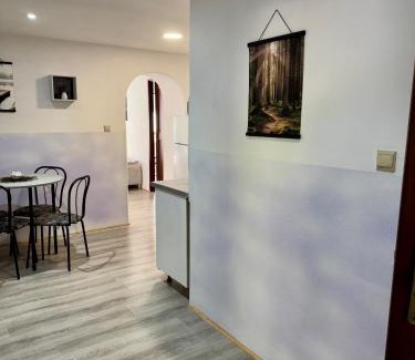 Jesenik Apartamento | Ubytování za babku s infrasaunou
